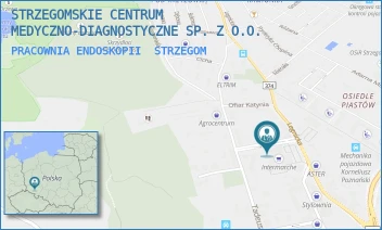 PRACOWNIA ENDOSKOPII - STRZEGOMSKIE CENTRUM MEDYCZNO-DIAGNOSTYCZNE SP. Z O.O. - UL. WINCENTEGO WITOSA 7,  STRZEGOM