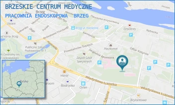 PRACOWNIA ENDOSKOPOWA - BRZESKIE CENTRUM MEDYCZNE - UL. SERGIUSZA MOSSORA 1,  BRZEG