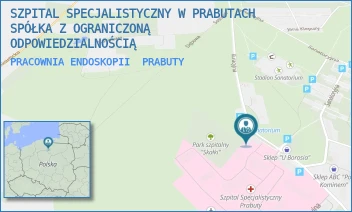 PRACOWNIA ENDOSKOPII - SZPITAL SPECJALISTYCZNY W PRABUTACH SPÓŁKA Z OGRANICZONĄ ODPOWIEDZIALNOŚCIĄ - UL. KURACYJNA 30,  PRABUTY