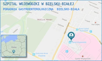 PORADNIA GASTROENTEROLOGICZNA - SZPITAL WOJEWÓDZKI W BIELSKU-BIAŁEJ - UL. AL.ARMII KRAJOWEJ 101,  BIELSKO-BIAŁA